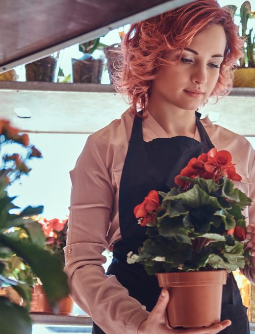 Beautiful redhead female florist wearing uniform working in flower shop.